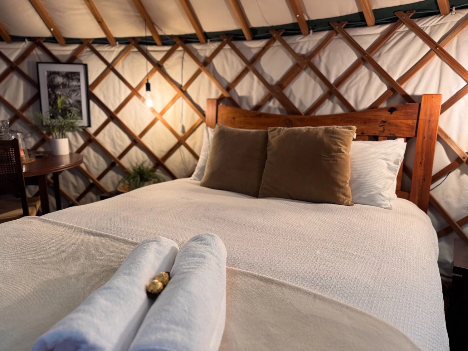 Tranquil yurt accommodation surrounded by native bush at Nīkau Sanctuary in the Coromandel, New Zealand