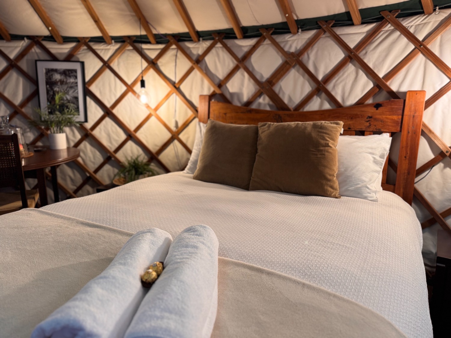 Tranquil yurt accommodation surrounded by native bush at Nīkau Sanctuary in the Coromandel, New Zealand